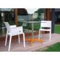 2 RESOL FIONA Silla Con Brazos Interior, Exterior  Negro - 2 unidades