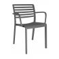 2 RESOL LAMA Silla Con Brazos Interior, Exterior  Gris oscuro - 2 unidades