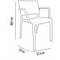 2 RESOL NEW FIONA Silla Con Brazos Interior, Exterior  Negro - 2 unidades