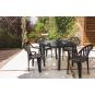 30 GARBAR PALS Silla Con Brazos Exterior Antracita - 30 unidades