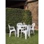 30 GARBAR PALS Silla Con Brazos Exterior Antracita - 30 unidades