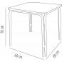 GARBAR RAYA Mesa Cuadrada Exterior 60x60 Gris inox