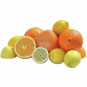 Exprimidor Eléctrico Manual de Naranjas y Pomelos, Bartscher CS1