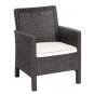 2 Sillones adriatico, polipropileno marrón chocolate, cojín beige - 2 unidades