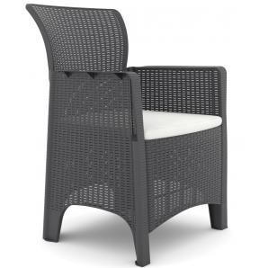 2 Sillones ileón, polipropileno antracita, cojín beige - 2 unidades