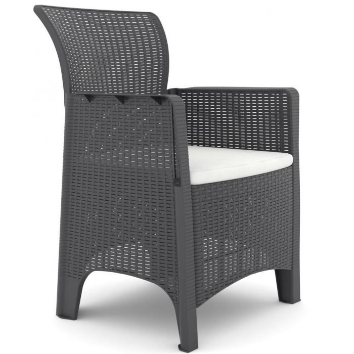 2 Sillones ileón, polipropileno antracita, cojín beige - 2 unidades