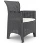 2 Sillones ileón, polipropileno antracita, cojín beige - 2 unidades