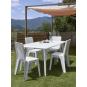 40 Silla interior, exterior blanco IRIS garbar - 40 unidades