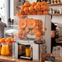 Exprimidor de Zumo, 25 Frutas por Minuto, Naranjas, Horekus