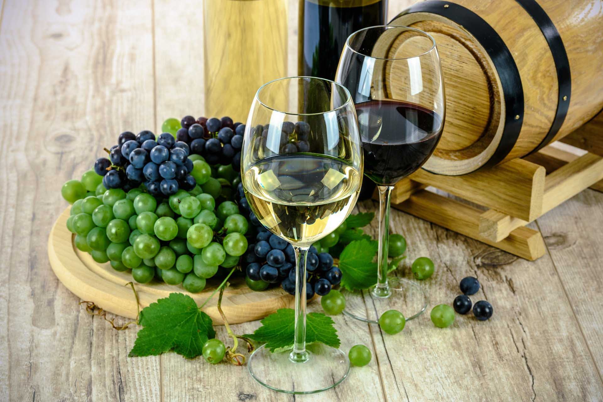 borde Celebridad decidir Clases de Vinos Según sus Años | Clasificación Vinos Tintos