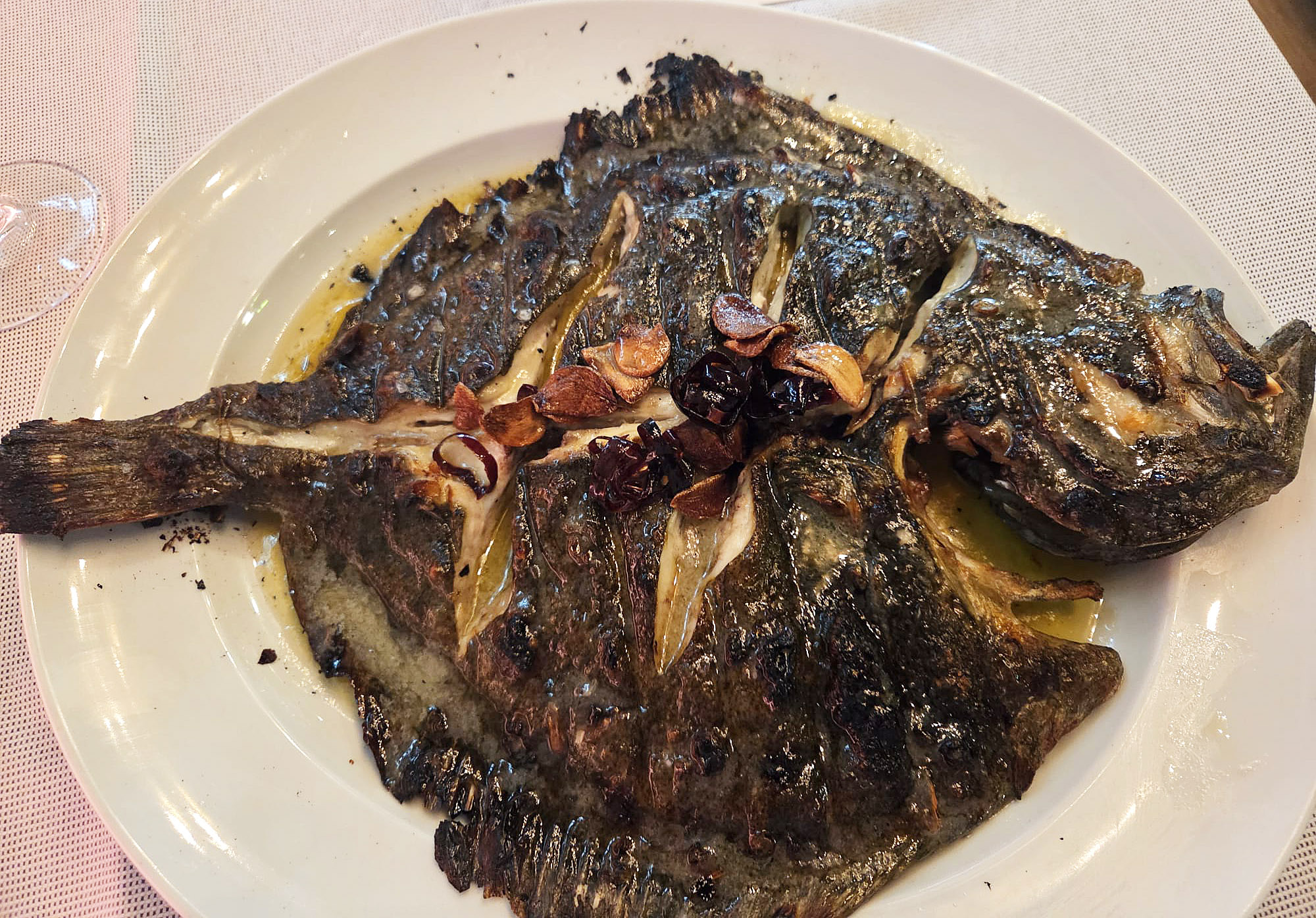 Rodaballo